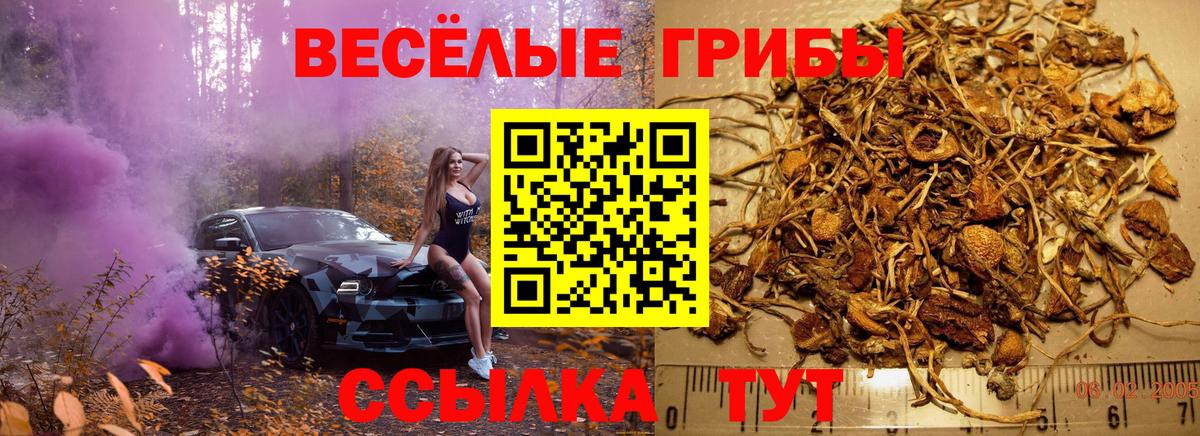 Галлюциногенные грибы GOLDEN TEACHER Нурлат