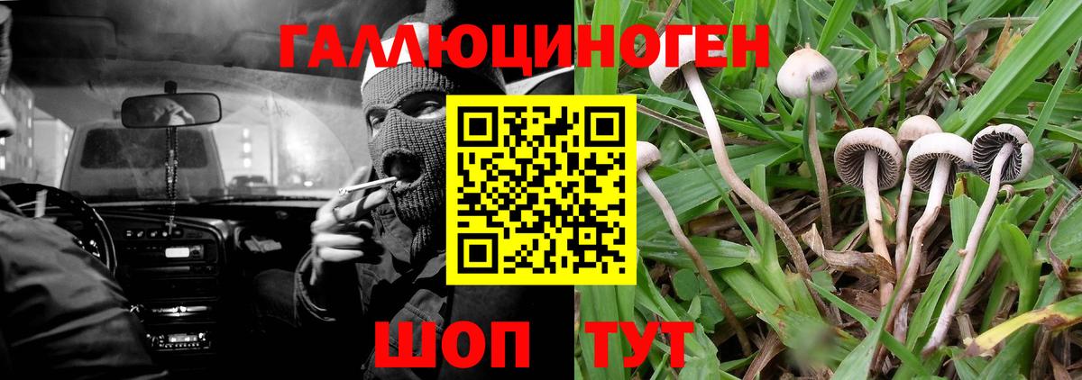 Нурлат  Галлюциногенные грибы мицелий  купить  сайты  Вход с VPN 